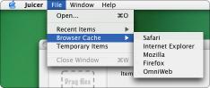 Menu showing browser caches