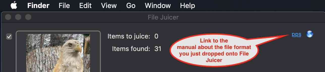 File Juicer Format link