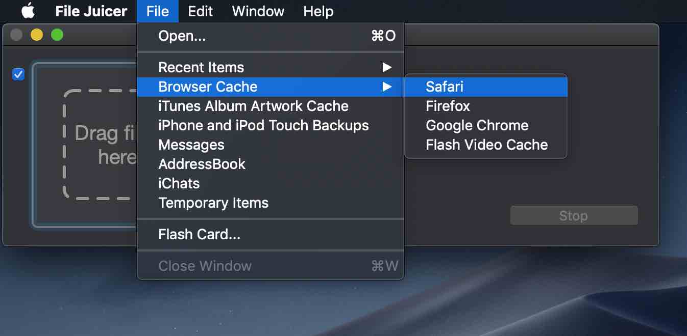 Menu showing browser caches